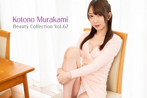 Beauty Collection Vol 67